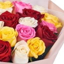 15 роз разноцветных