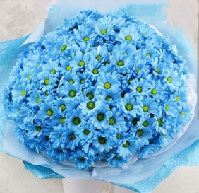 Букет из голубых хризантем - Хризантемы