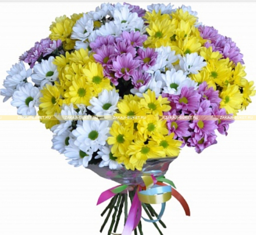 Букет разноцветный ( хризантемы) фото 1