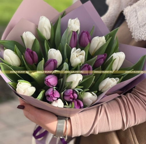 Тюльпаны белые и фиолетовые  фото 1