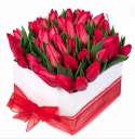  Красные тюльпаны в коробочке