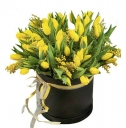  Жёлтые тюльпаны и мимоза в шляпной коробочке 