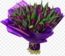  Фиолетовые тюльпаны 25 шт