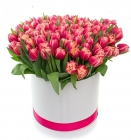  Пестролистные тюльпаны в шляпной коробочке 