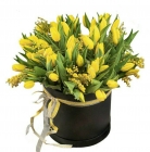 Жёлтые тюльпаны и мимоза в шляпной коробочке 