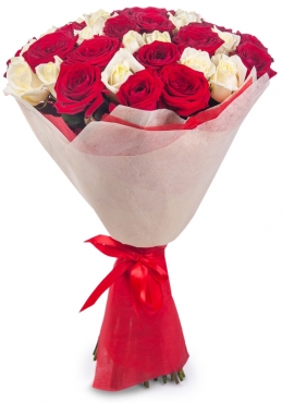 Розы (средние- 60 см) - Букет из 35 красно-белых роз Надежда