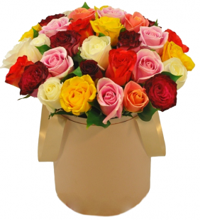 21 разноцветная  роза в шляпной коробке - Розы в коробке