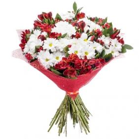 Красно-белый букет из белых хризантем и альстромерий - Альстромерия