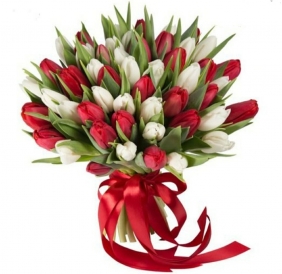 Букет из красных  и белых тюльпанов - Тюльпаны