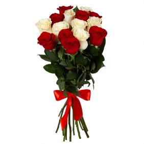 Красно - белый микс - Розы (средние 55-60 см)