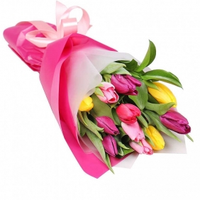 Разноцветные тюльпаны 11 шт - Тюльпаны
