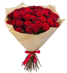 Розы - Красный бархат - Розы (средние- 60 см)
