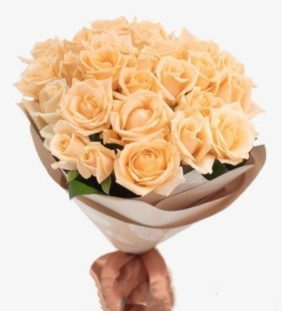 11 кремовых роз - Розы (средние 55-60 см)