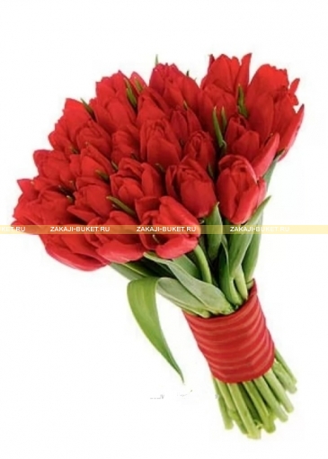  Букет из 25 красных  тюльпанов  фото 1