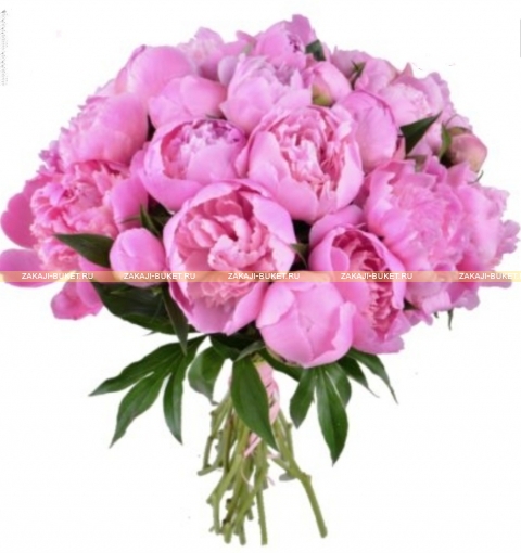 Розовые пионы фото 1
