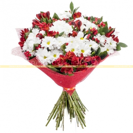Красно-белый букет из белых хризантем и альстромерий фото 1