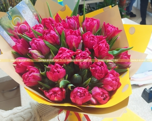Букет из  красных или малиновых  пионовидных тюльпанов  фото 1