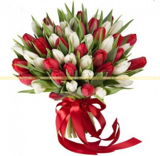 Букет из красных  и белых тюльпанов фото 1