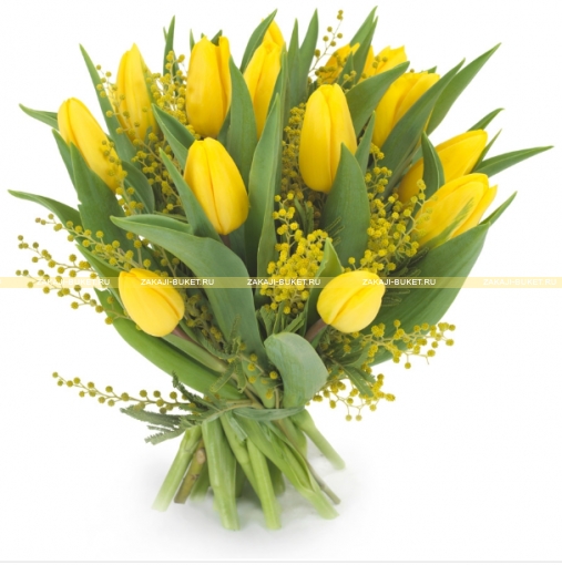 Жёлтые тюльпаны и мимоза  фото 1